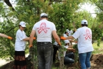 In Almaty was planted the alley of remembrance dedicated to the AIDS Victims